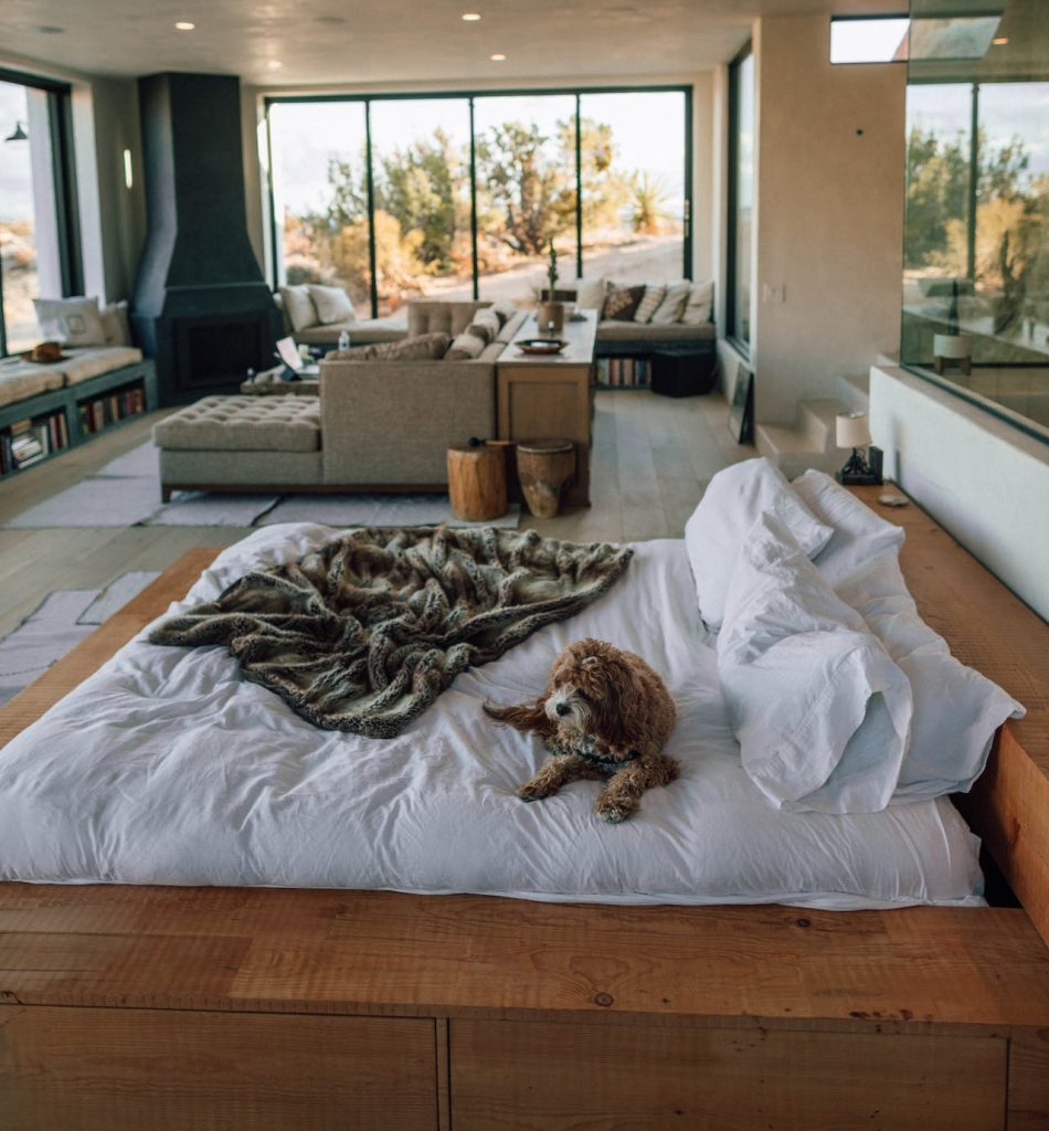 Ein Wohnzimmer mit einem Hund, der auf einem Bett liegt. Das Bild steht für das Zuhause, von dem man einen remote job ausüben kann